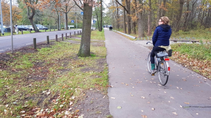 20191117_110609 Parkstraße in Warnemünde